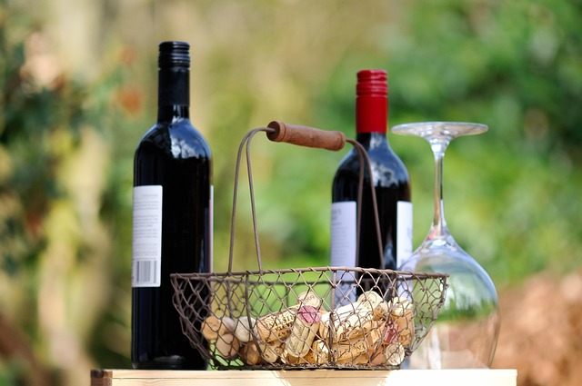 wine, beverages, drink, alcohol, glass, red, liquid, wine glass, mulled claret, alcoholic, nature, wine bottle, bottles, mulled wine cup, summer, red wine, cork, enjoyment, wine corks, natural product, wine tasting, bottle corks, noble, bottleneck, glas of wine, glass bottle, yummy, glasses, enjoy, garden